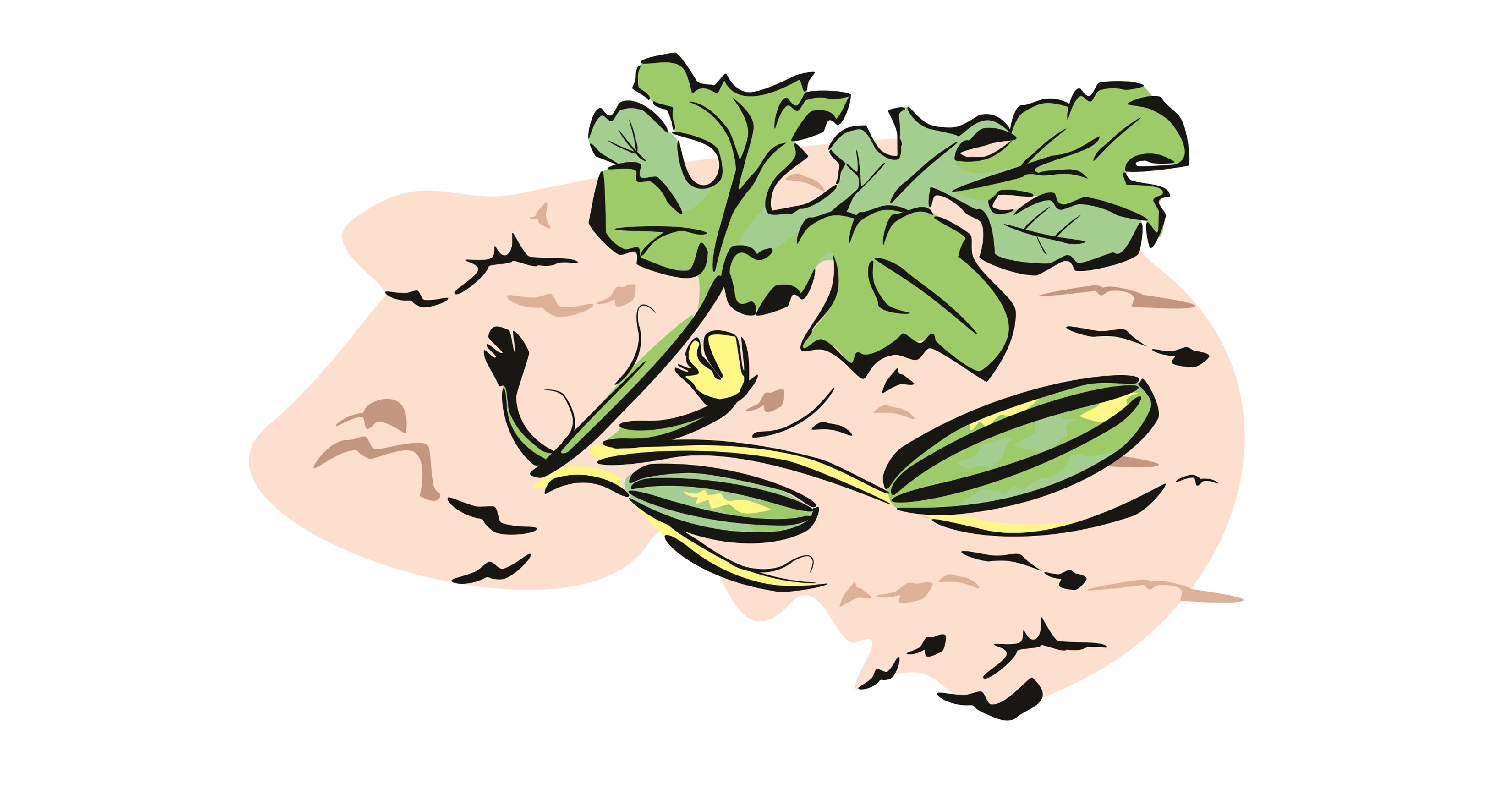 Dąbrowscy | let's grow together