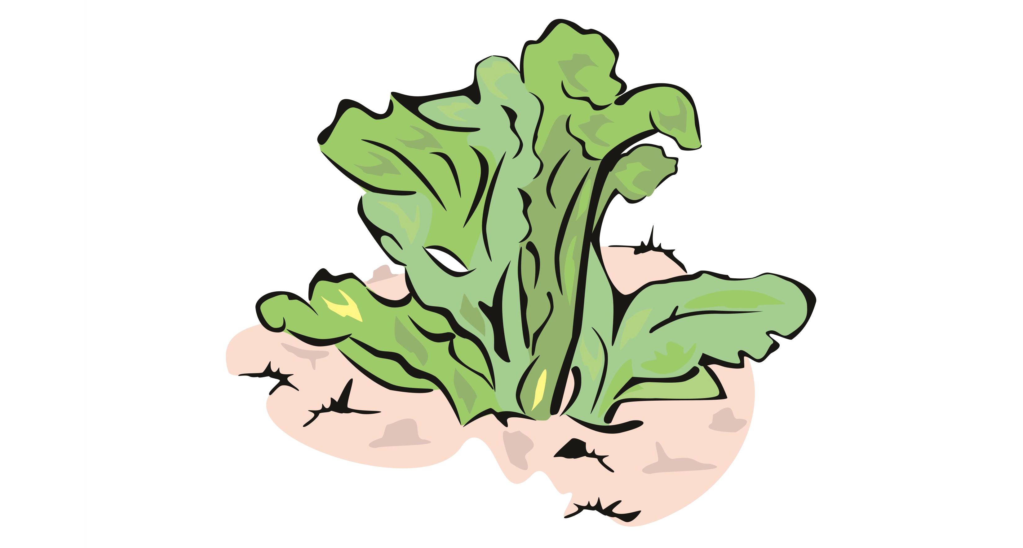 Dąbrowscy | let's grow together