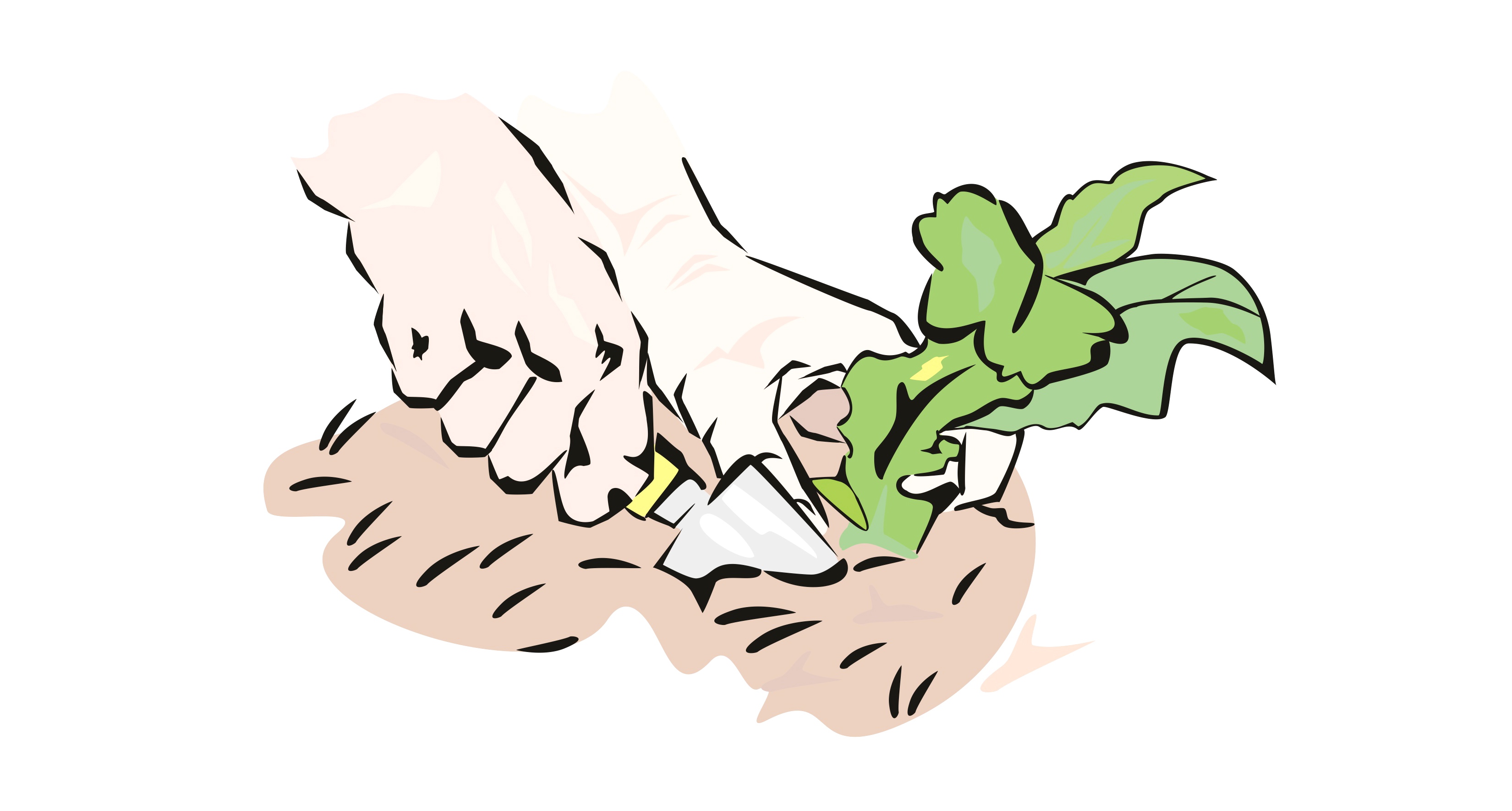 Dąbrowscy | let's grow together